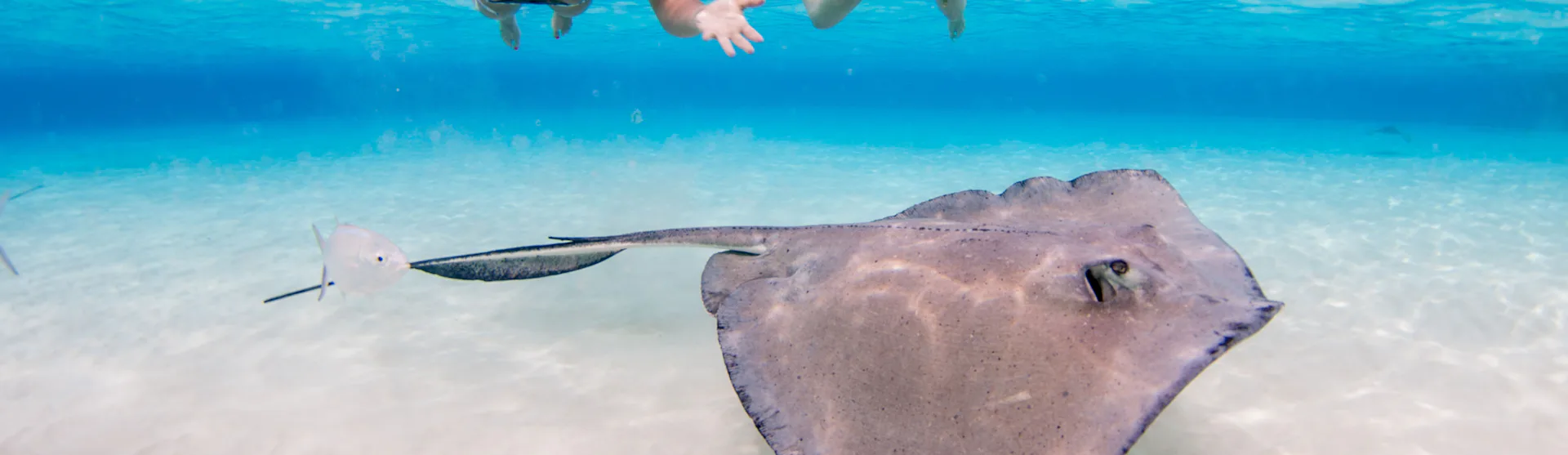 Grand Cayman