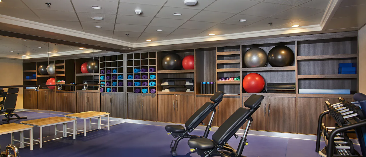 The gym