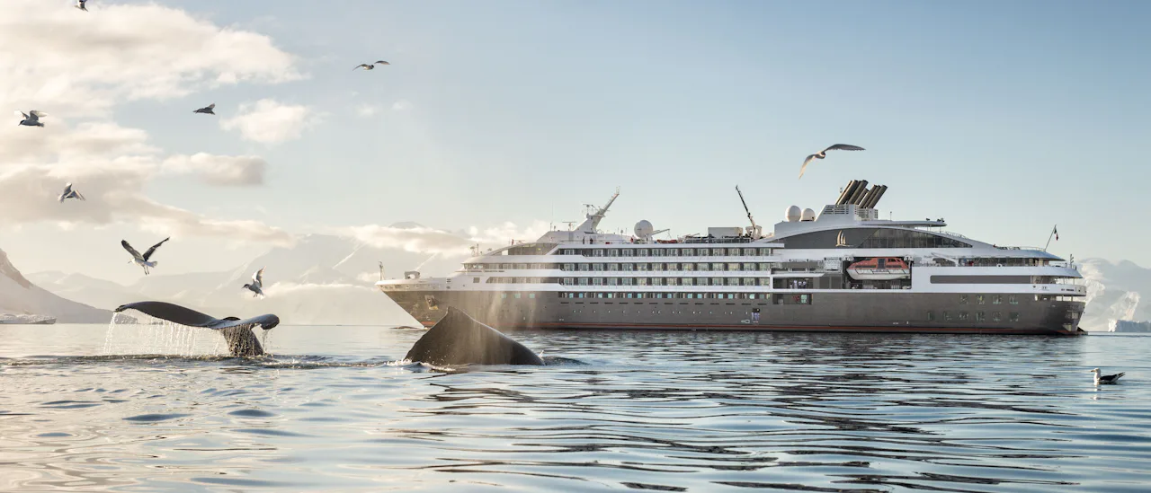 Le Boreal er utstyrt med et forsterket skrog som egner seg for ekspedisjonscruise til Antarktis, Svalbard og andre eksotiske destinasjoner.
