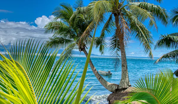 Fra Sydney - Honolulu. En spektakulær reise