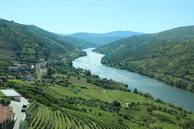Douro